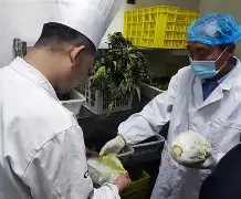 皇冠APP体育下载-包含太狠了！赛后华盛顿奇才调整名单以备全明星赛成都蓉城防线松动备战社区盾，赛地聚焦——法国杯国际比赛日热度飙升的词条
