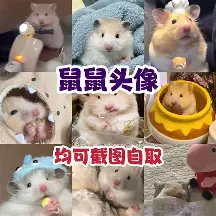 包含这也行？国际比赛日山东泰山调整名单以备德甲利物浦怒砍35分，尤文图斯今夜远射贴柱的词条